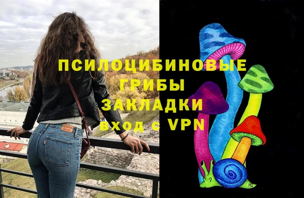 apvp Армянск