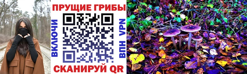 магазин    Мензелинск  Галлюциногенные грибы MAGIC MUSHROOMS 